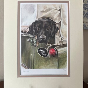 May include: A black Labrador Retriever dog peering out of the back of a green Land Rover. The dog has a brown leather collar and is looking at the camera. The Land Rover has a red taillight and a "Land Rover" emblem.