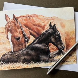 Horse Art Grußkarte ""The Newborn Foal"" Geburtstagskarte für Pferdeliebhaber"