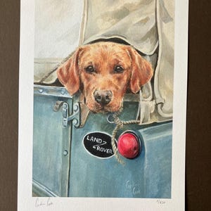 May include: A watercolor painting of a red Labrador Retriever dog peeking out of the back of a Land Rover. The dog is looking at the viewer with a curious expression. The Land Rover is blue and has a red light on the side. The painting is signed by the artist, Caroline Cook, and numbered 5/250.