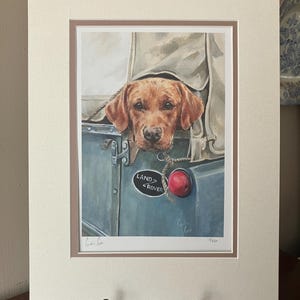 May include: A framed print of a brown Labrador Retriever dog peeking out of a Land Rover. The dog is looking at the viewer with a curious expression. The Land Rover has a red light and a "LAND ROVER" emblem on the side. The print is signed by the artist, "Gordon Cook", and numbered "11/250".