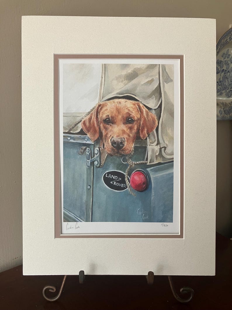 May include: A framed print of a brown Labrador Retriever dog peeking out of a Land Rover. The dog is looking at the viewer with a curious expression. The Land Rover has a red light and a "LAND ROVER" emblem on the side. The print is signed by the artist, "Gordon Cook", and numbered "11/250".