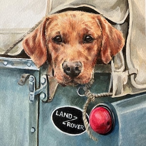 May include: A watercolor painting of a brown Labrador Retriever dog peeking out of the back of a blue Land Rover. The dog's head is sticking out of the canvas top of the vehicle. The Land Rover has a black and white "LAND-ROVER" logo on the side.