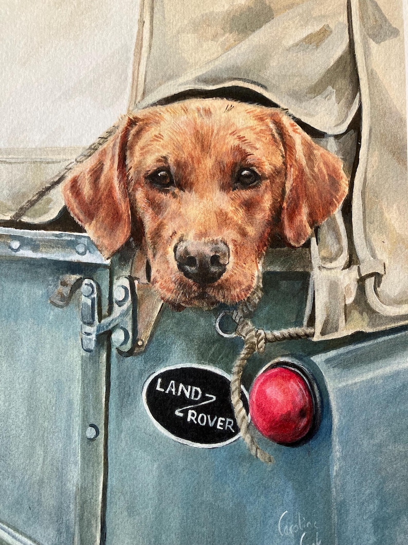 May include: A watercolor painting of a brown Labrador Retriever dog peeking out of the back of a blue Land Rover. The dog's head is sticking out of the canvas top of the vehicle. The Land Rover has a black and white "LAND-ROVER" logo on the side.