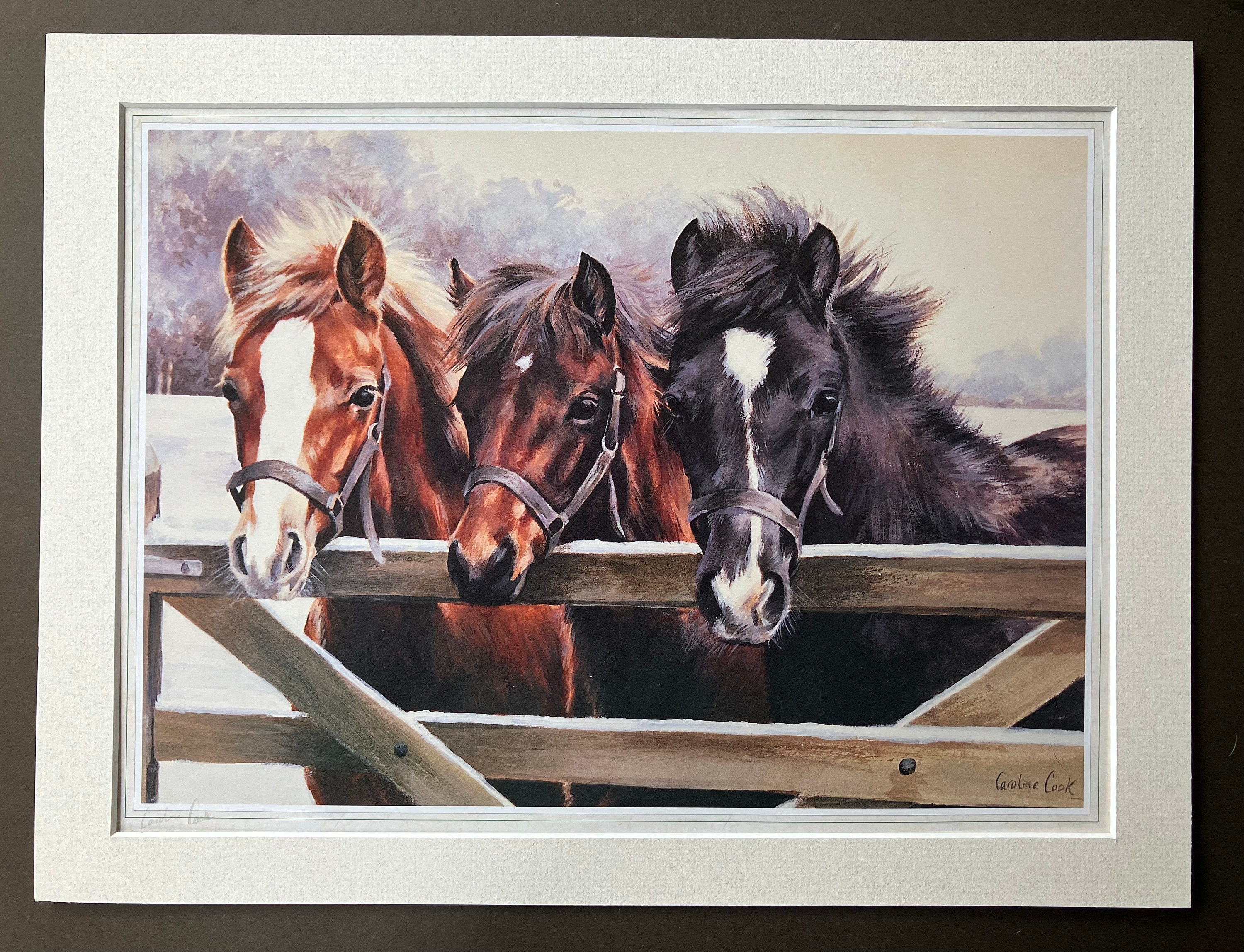 Housse De Selle Pour Poney Thellwell Print - Édition Limitée - Neuve