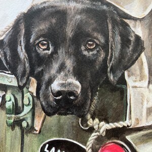 May include: A black Labrador Retriever dog peeks out from under a tan canvas cover of a green Land Rover. The dog has brown eyes and a serious expression. The Land Rover logo is visible on the side of the vehicle.