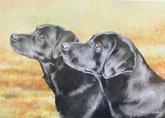 Biglietto D'Auguri Maturi Con Foto Di Cane Labrador Nero – Fatto A Mano Nel Regno Unito