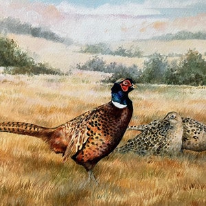 Pheasant Art Print - September Pheasants.
