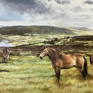 Exmoor Ponies at Porlock, Exmoor. Ponies in an Exmoor Landscape.  Equestrian Horse Art