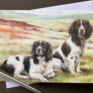 Cartão de felicitações do Spaniel de Springer. Cartão em branco "Making a Splash" com Springer Spaniel em funcionamento para amantes de cães