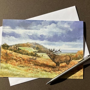 Red Deer Stag Art Card "The Challenge" Edelherten in Dunster, Exmoor