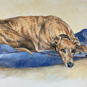 May include: A brown and black brindle Greyhound dog is lying on a blue blanket with a red border. The dog is looking at the camera with its head resting on the blanket.