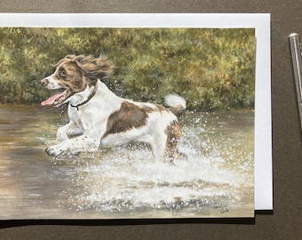 Springer Spaniel Greeting Card. "Making a Splash"
