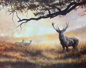 Red Deer Stag Art Print "Morning Glory" Stag Limited Edition