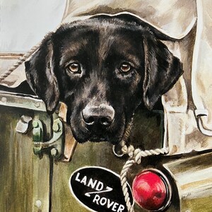 Pu&ograve; includere: Un cucciolo di Labrador Retriever nero che spunta da sotto una copertura in tela marrone su un Land Rover verde. Il logo Land Rover &egrave; visibile sul lato del veicolo.