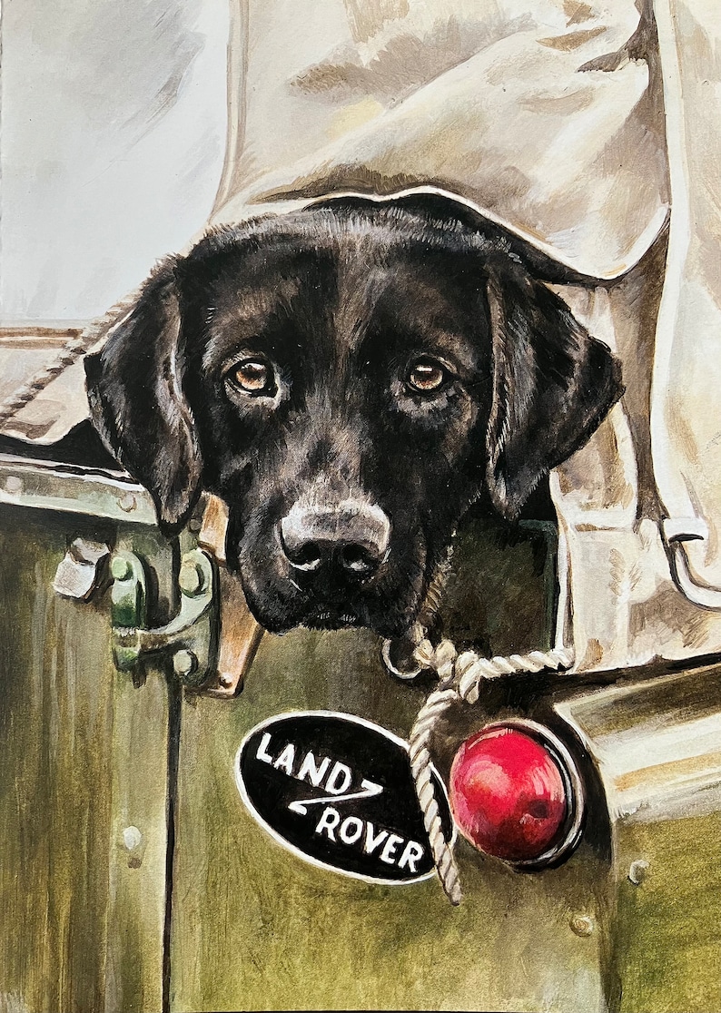 Pu&ograve; includere: Un cucciolo di Labrador Retriever nero che spunta da sotto una copertura in tela marrone su un Land Rover verde. Il logo Land Rover &egrave; visibile sul lato del veicolo.