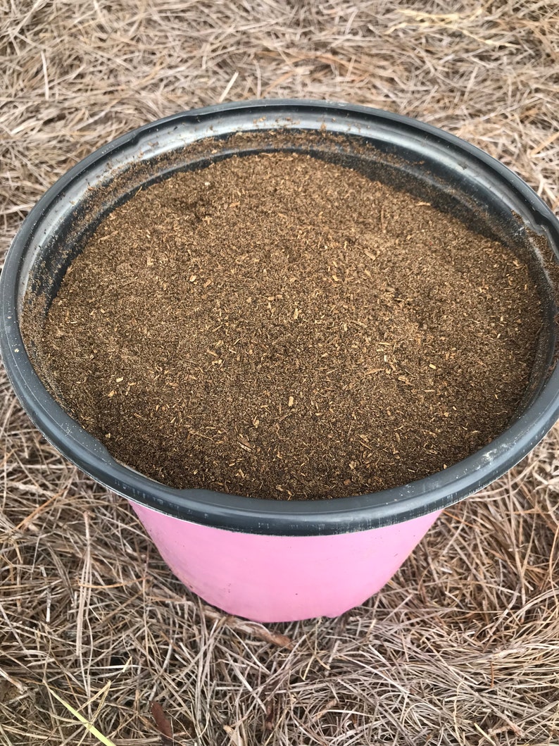 Horse Manure Compost Aged and Shredded No Additives 20lbs Etsy