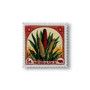 Puede incluir: Un sello postal vintage de 5 centavos de Nebraska con un tallo de maíz rojo, amarillo y blanco con el nombre del estado y un pequeño contorno del estado.