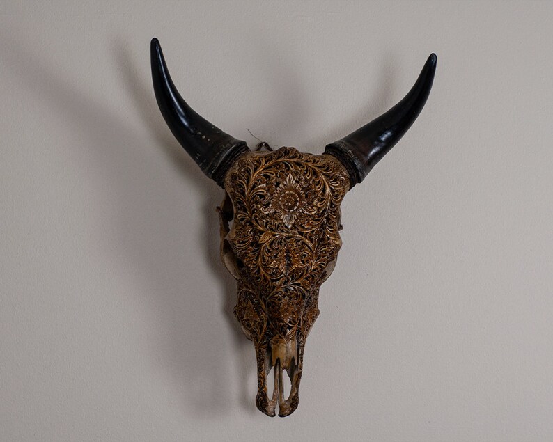 Carved Cow Skull Wall Decor Real Animal Skull With Black Etsy