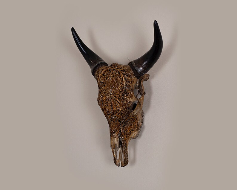 Carved Cow Skull Wall Decor Real Animal Skull With Black Etsy