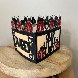 May include: A black and white paper lantern with a red and black ladybug design. The lantern says "Our Little Lady" and "Lauren" on the sides.