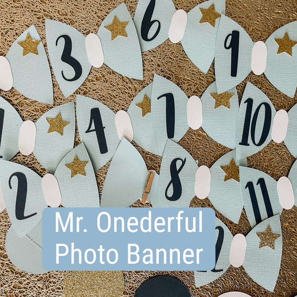 Mr. Onederful Bowtie Themed Month Photo Banner, Mr. Onederful Bowtie First Birthday Decorations, Mr. Onederful Birthday Party Decorations