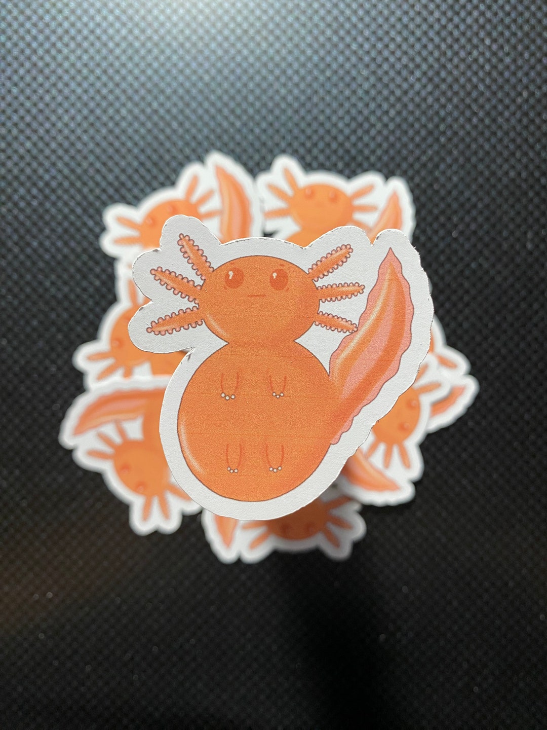 2x2 Vinyl Axolotl Sticker Etsy
