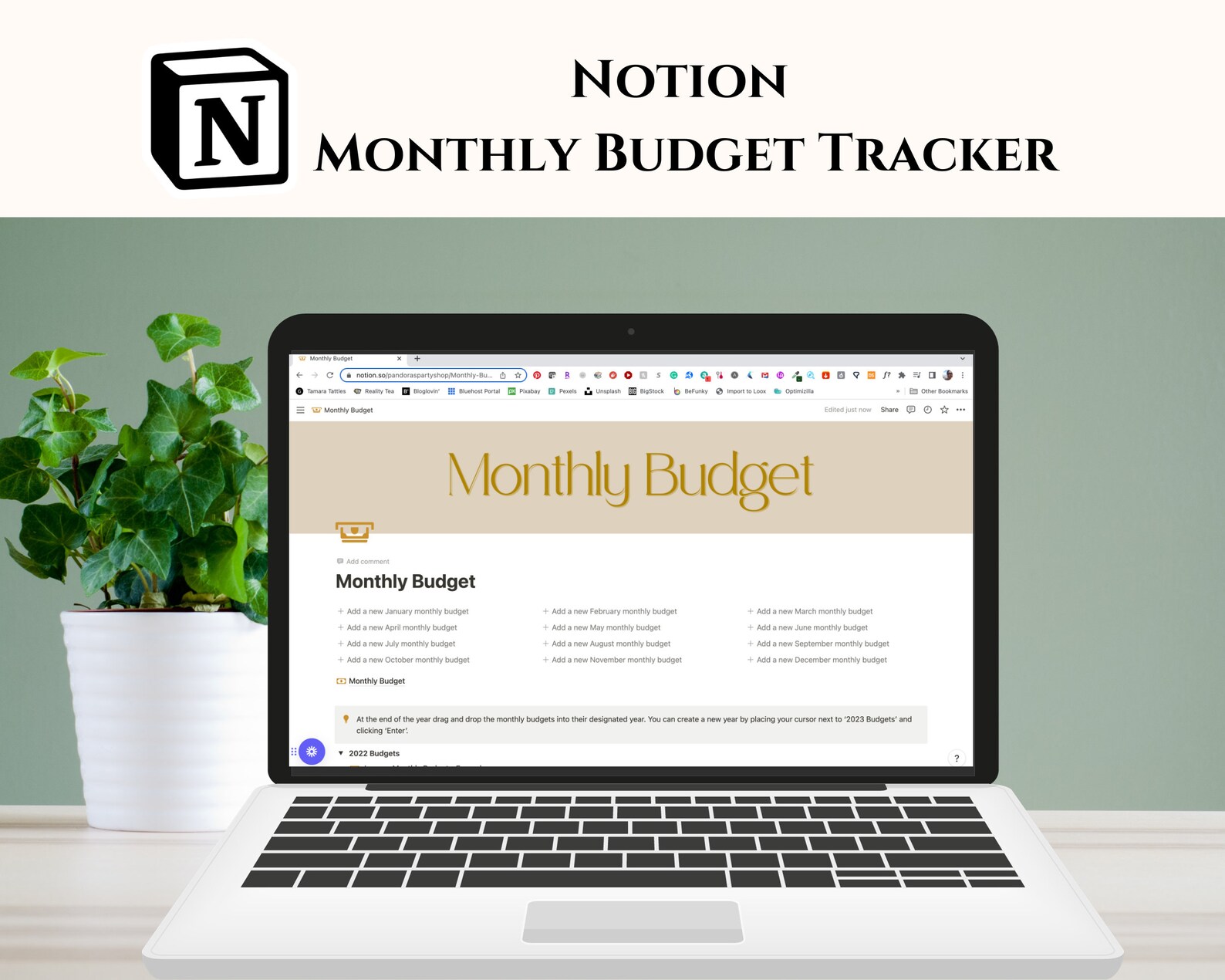 Notion Monthly Budget Tracker Template, Notion Finance Tracker, Budgets