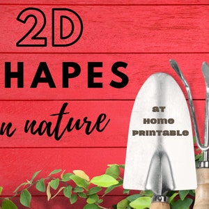 2D Shapes In Nature 8x10&#39;s and Flashcards