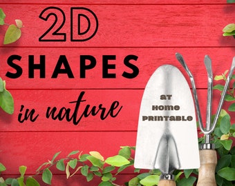 2D Shapes In Nature 8x10's and Flashcards