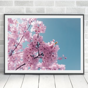 Cherry Blossom art print, printable art, floral wall art, botanical nature print, pink flower printable, Sakura wall decor, Digital Download