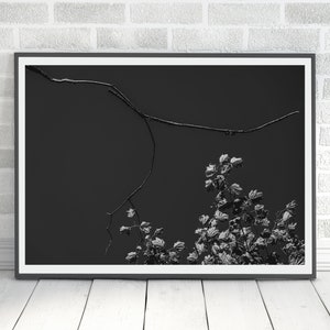 fotografia naturalistica, stampa di foglie di albero, arte murale digitale in bianco nero, decorazioni per la casa, decorazioni murali stampabili, foto di foglie autunnali