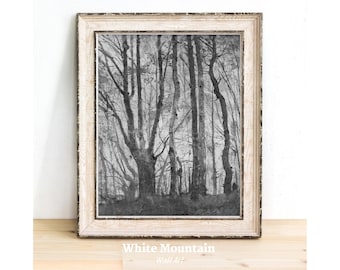 Vintage Aesthetic Black and White Nature Oil Painting Digital, Dark Moody Forest Landscape Printable Art, Rustic Cottagecore Tree Wall Decor