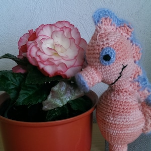 SEAHORSE CROCHET INSTRUCTIONS