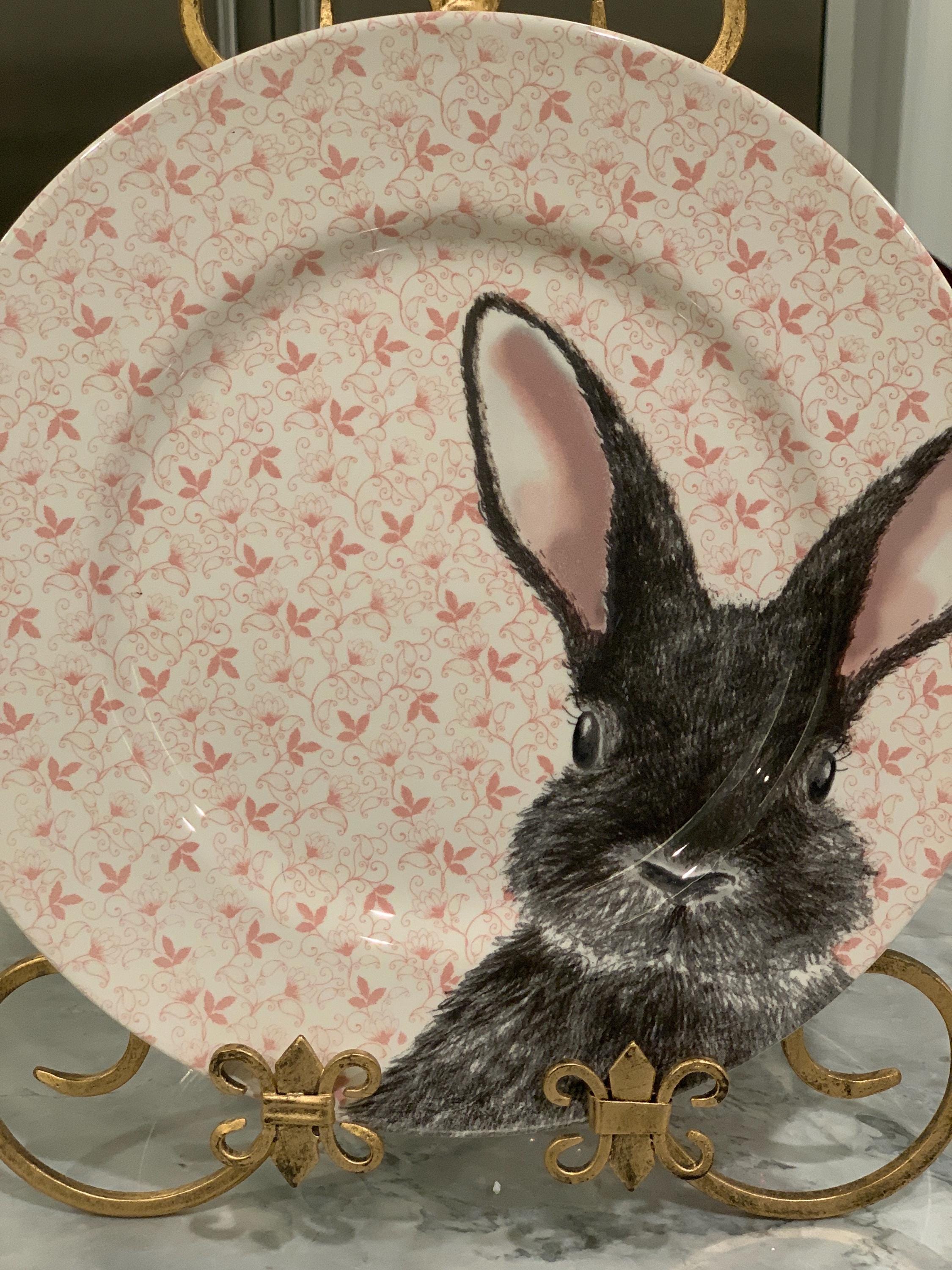 Set of 2 Royal Stafford Pink Bunny Chintz 11