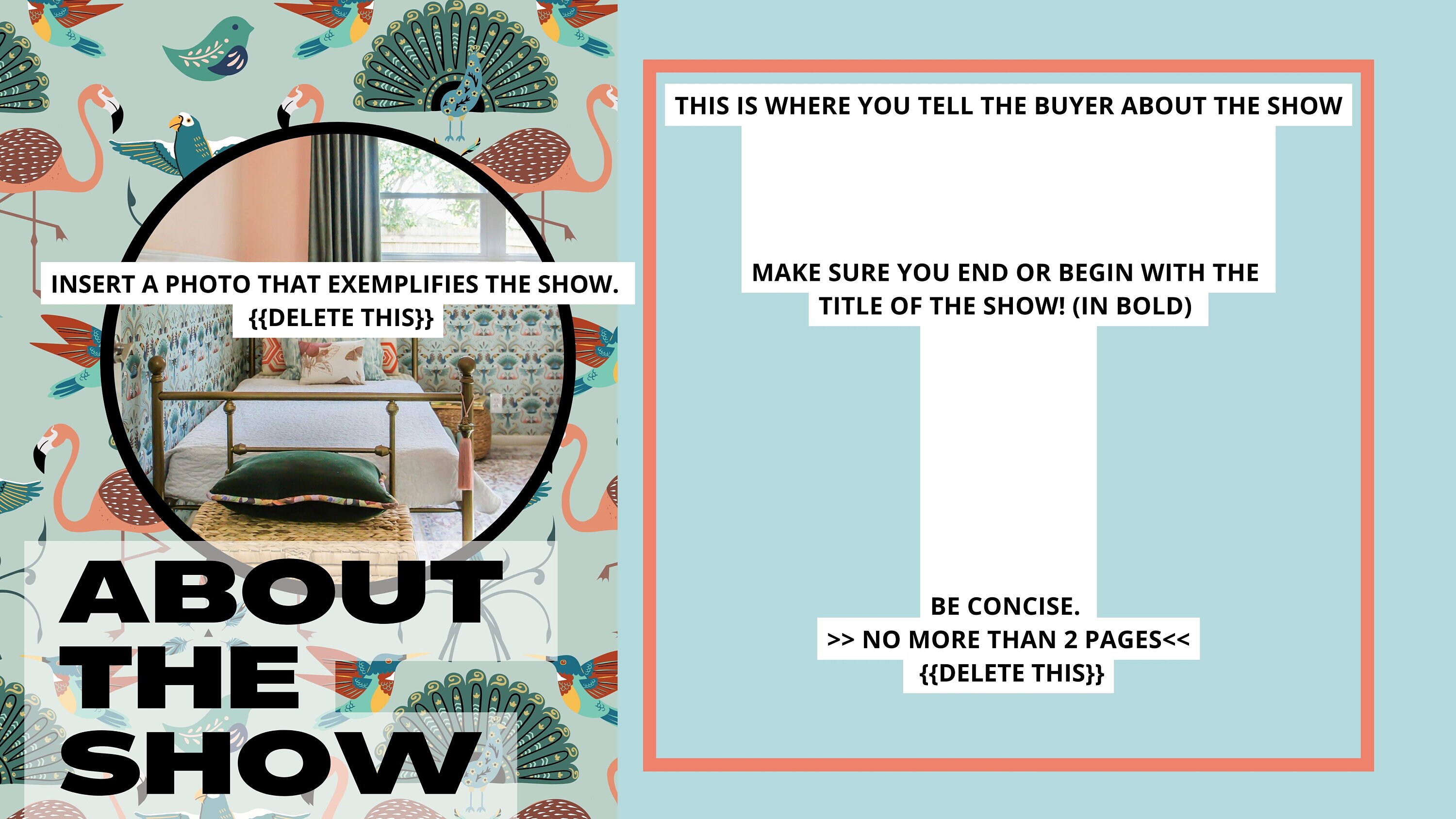Unscripted / Reality TV Pitch Deck Canva Template Etsy
