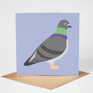 Carte pigeon, carte de voeux oiseau, carte vierge, pigeon ramier, pigeon biset, carte oiseau de jardin, oiseaux urbains
