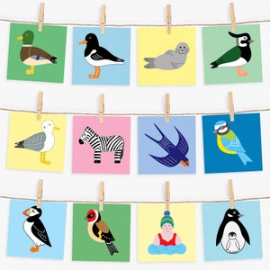 Conjunto de 4 cartas, 4 pássaros e animais, escolha 4 designs, escolha e misture, cartas em branco, cartas ecológicas