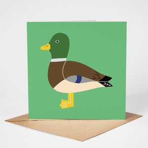 Cartão de pato-real, cartão de saudação de pássaro, cartão em branco, pássaros britânicos, cartão ecológico