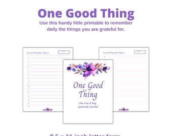 One Thing a Day Journal - Etsy