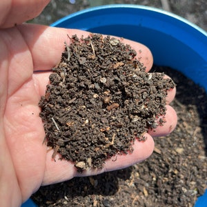 Vermicompost sieve for finest compost and egg separation specifically for red wigglers
