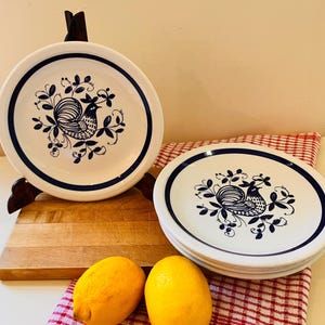 Vintage San Marciano Italy forma Terragona Hens & FlowerPlates Set of 5