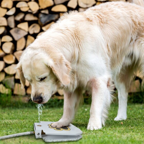 Automatic Outdoor Dog Water Fountain, Dog Drinking Water Fountain Step