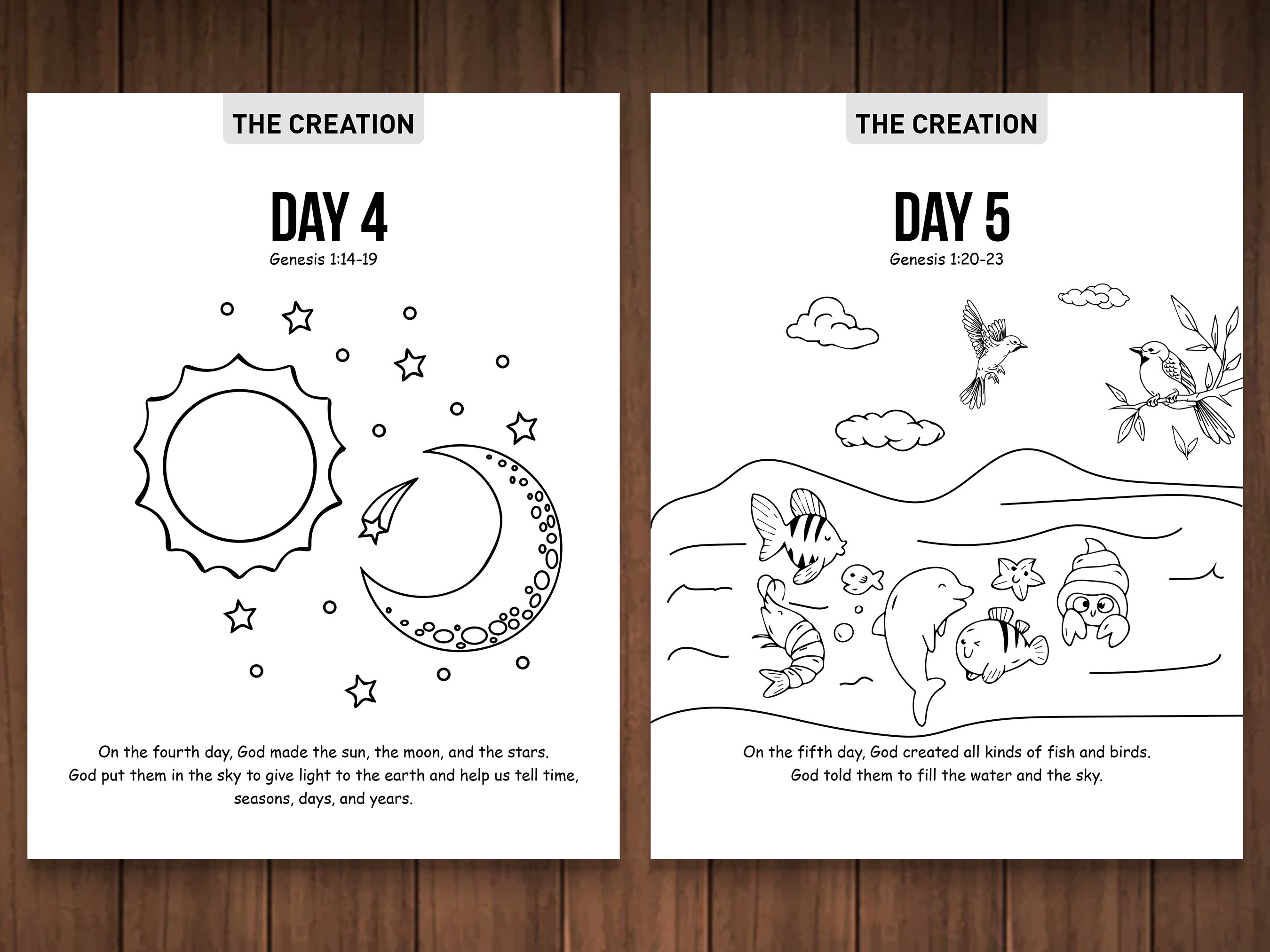 The Creation Bible Story Coloring Pages Sunday - Etsy