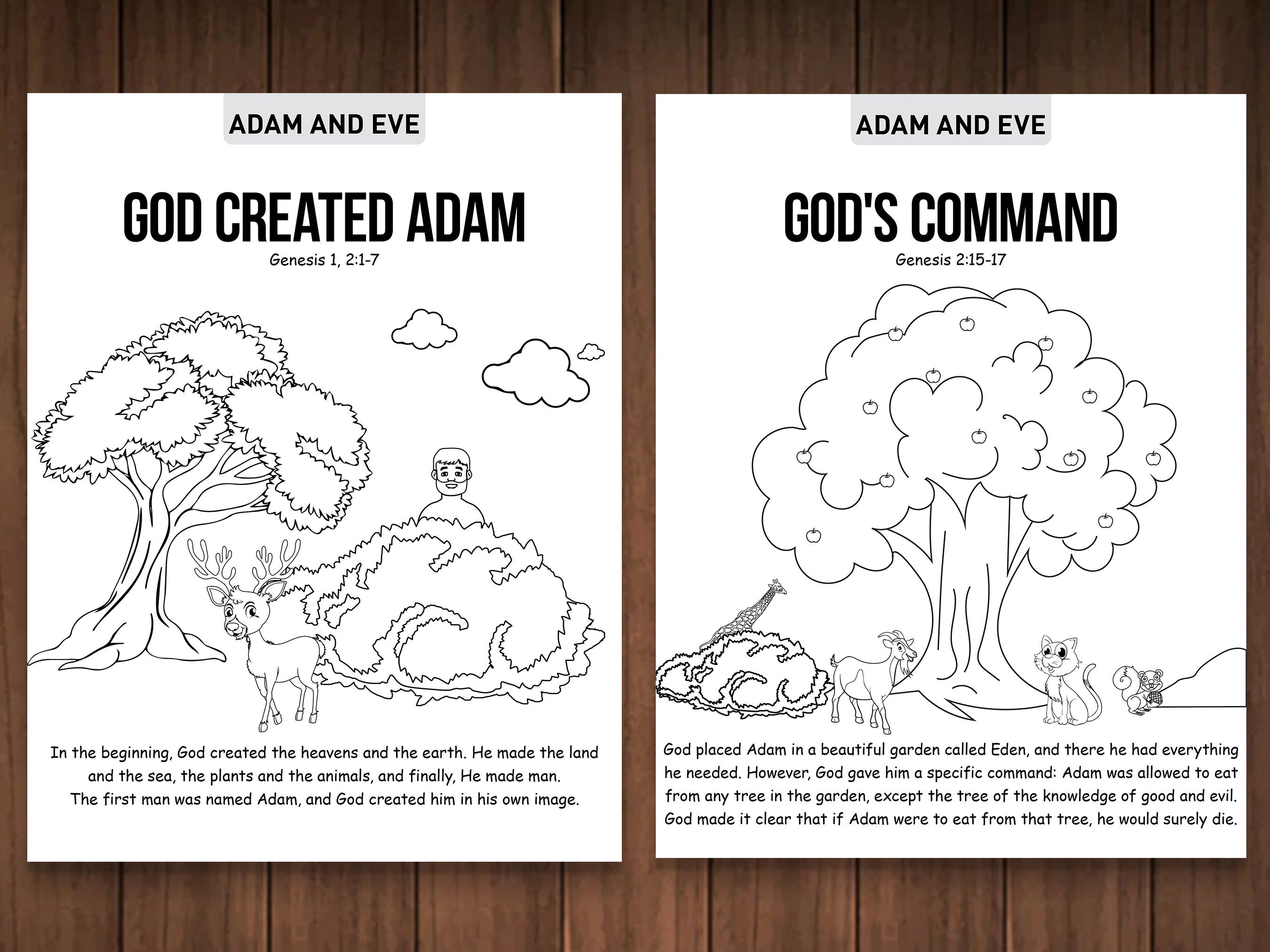 Adam and Eve Bible Story Coloring Pagessunday Schoolbible - Etsy