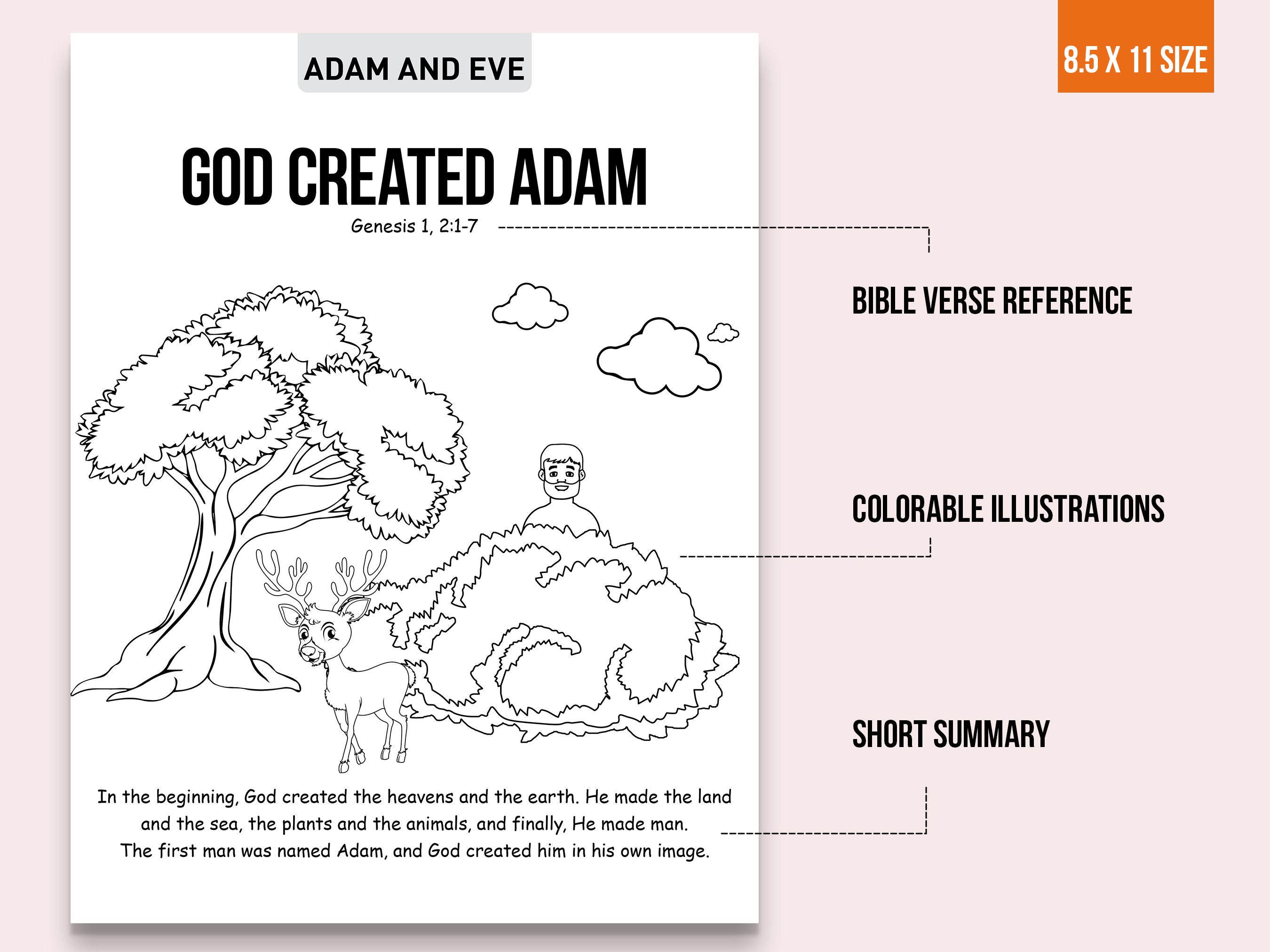 Adam and Eve Bible Story Coloring Pagessunday Schoolbible - Etsy