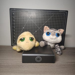 RUSS Berries PEPPER & SHELLY - Tartaruga malhada cinza e branca, tartaruga de casco duplo Lil Peepers