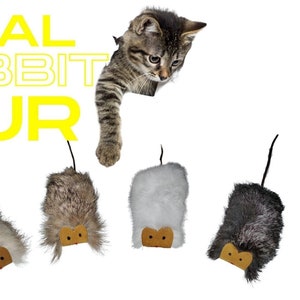 Durable cat toys discount