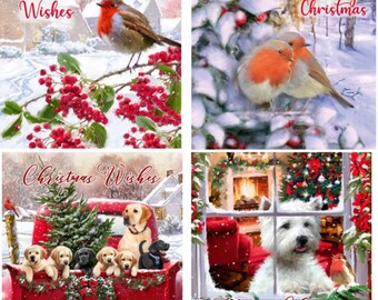 Robin Christmas Cards 12 Pack Charity Christmas Cards Snow Scene Luxury Traditional Robin cards Religious Christmas Cards with 2 design