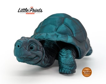 Awesome Tortoise Fidget Toy: Realistic Moveable Head, Legs & Tail - 3D Printed Fun Desk Toy! Great Gift for Tortoise Lovers!