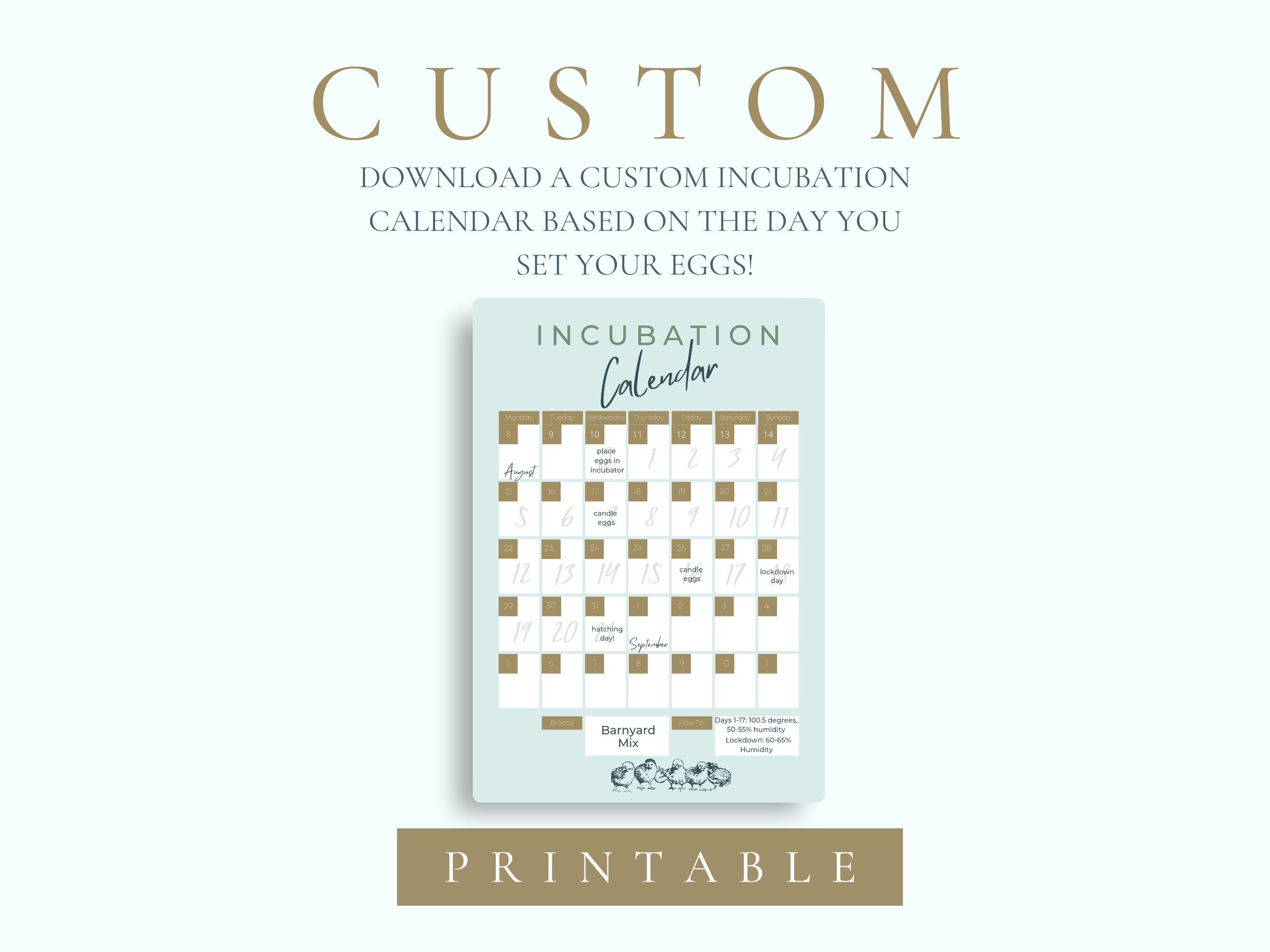 Custom Printable Egg Incubation Calendar Homestead Planner Chicken Planner Egg Tracker Chick Planner Farm Calendar Homestead Tracker